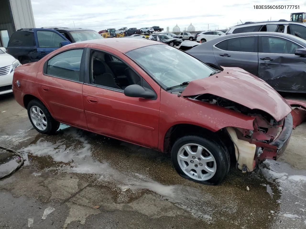 2005 Dodge Neon Sxt VIN: 1B3ES56C65D177751 Lot: 74116174