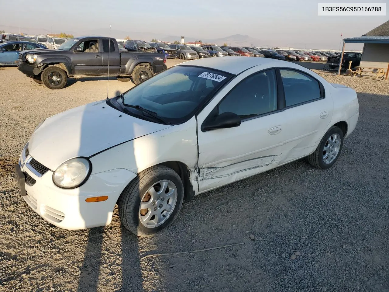 2005 Dodge Neon Sxt VIN: 1B3ES56C95D166288 Lot: 76119064