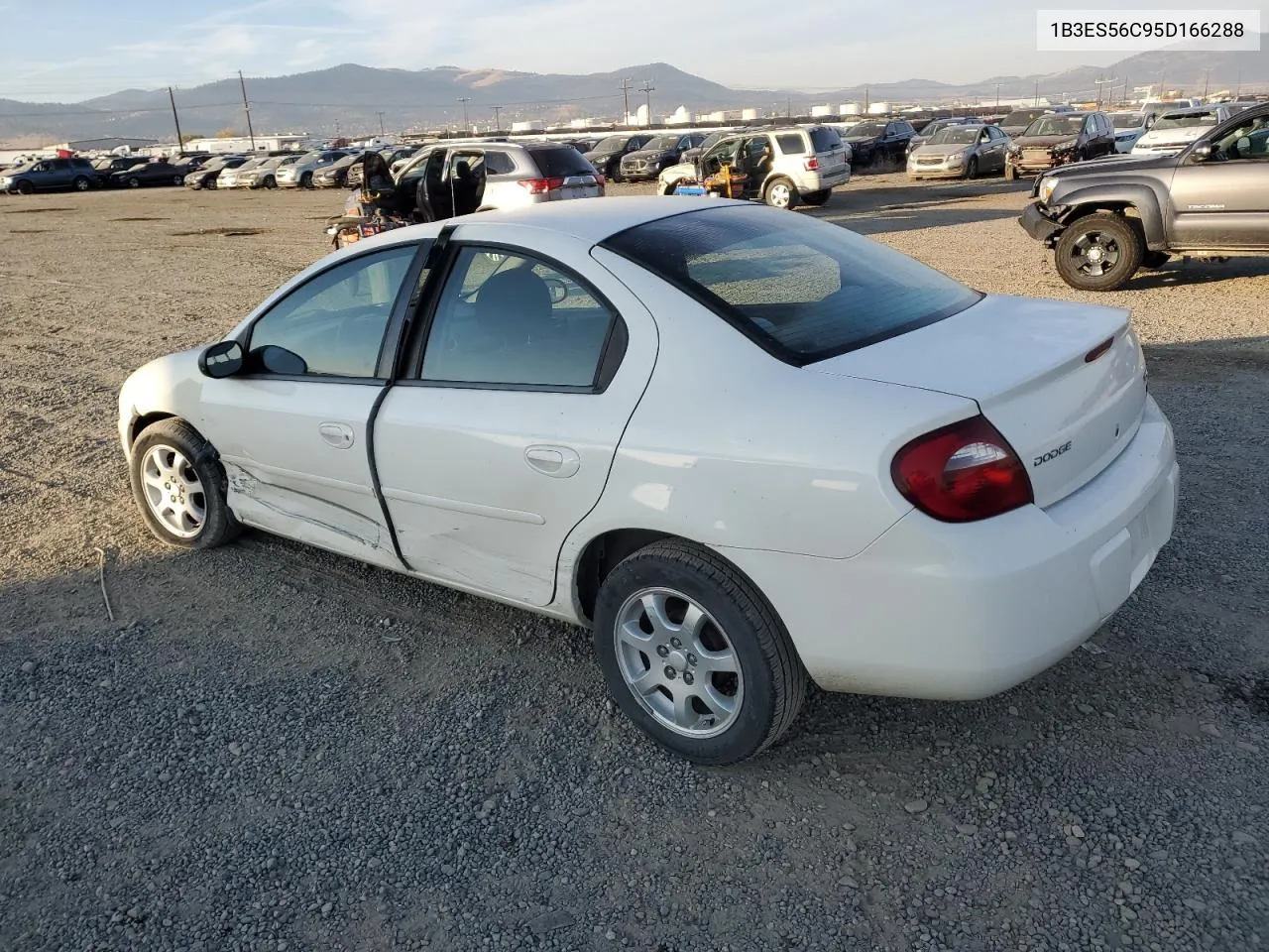 2005 Dodge Neon Sxt VIN: 1B3ES56C95D166288 Lot: 76119064