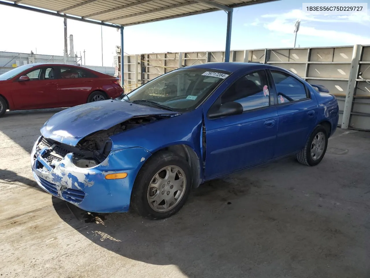 2005 Dodge Neon Sxt VIN: 1B3ES56C75D229727 Lot: 79717284