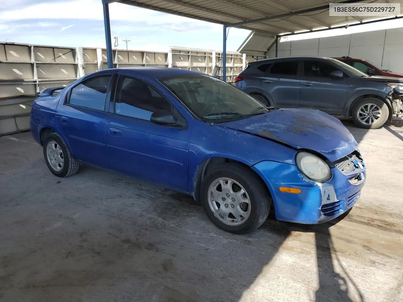 2005 Dodge Neon Sxt VIN: 1B3ES56C75D229727 Lot: 79717284