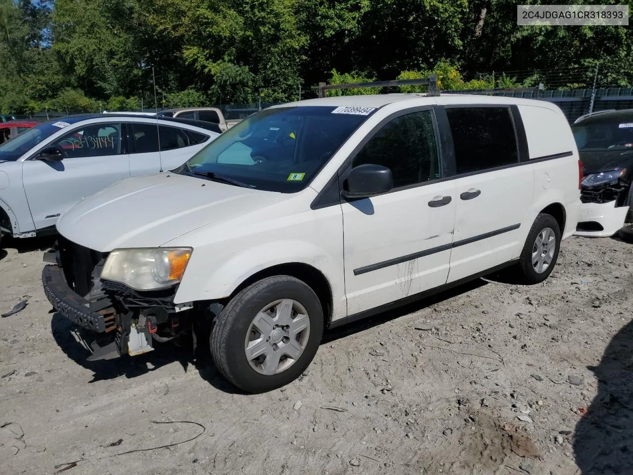 2012 Dodge Ram Van VIN: 2C4JDGAG1CR318393 Lot: 70399494