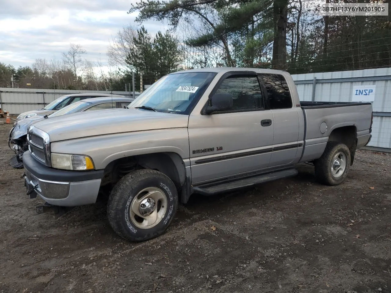 2000 Dodge Ram 1500 VIN: 3B7HF13Y6YM201905 Lot: 79347524