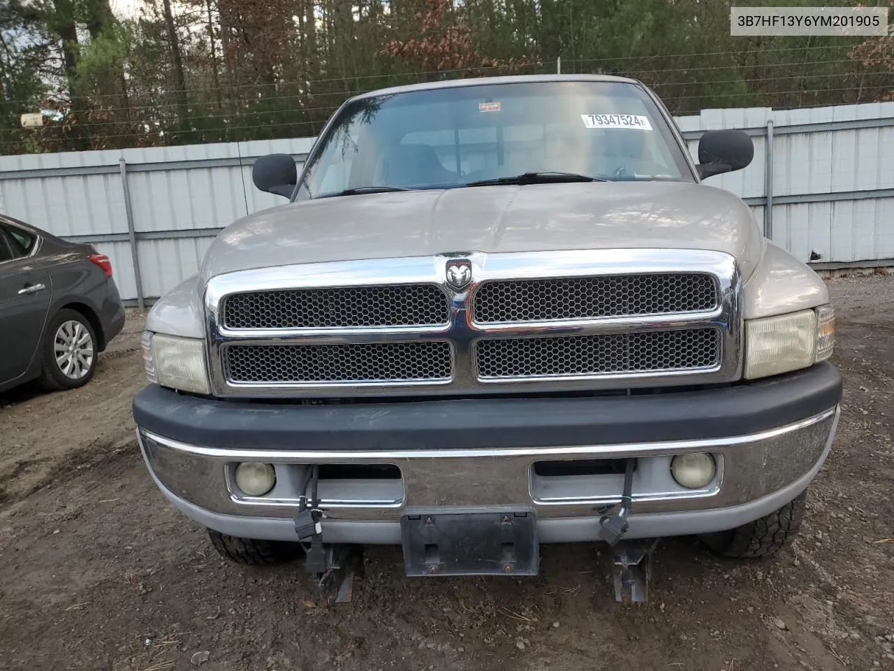 2000 Dodge Ram 1500 VIN: 3B7HF13Y6YM201905 Lot: 79347524