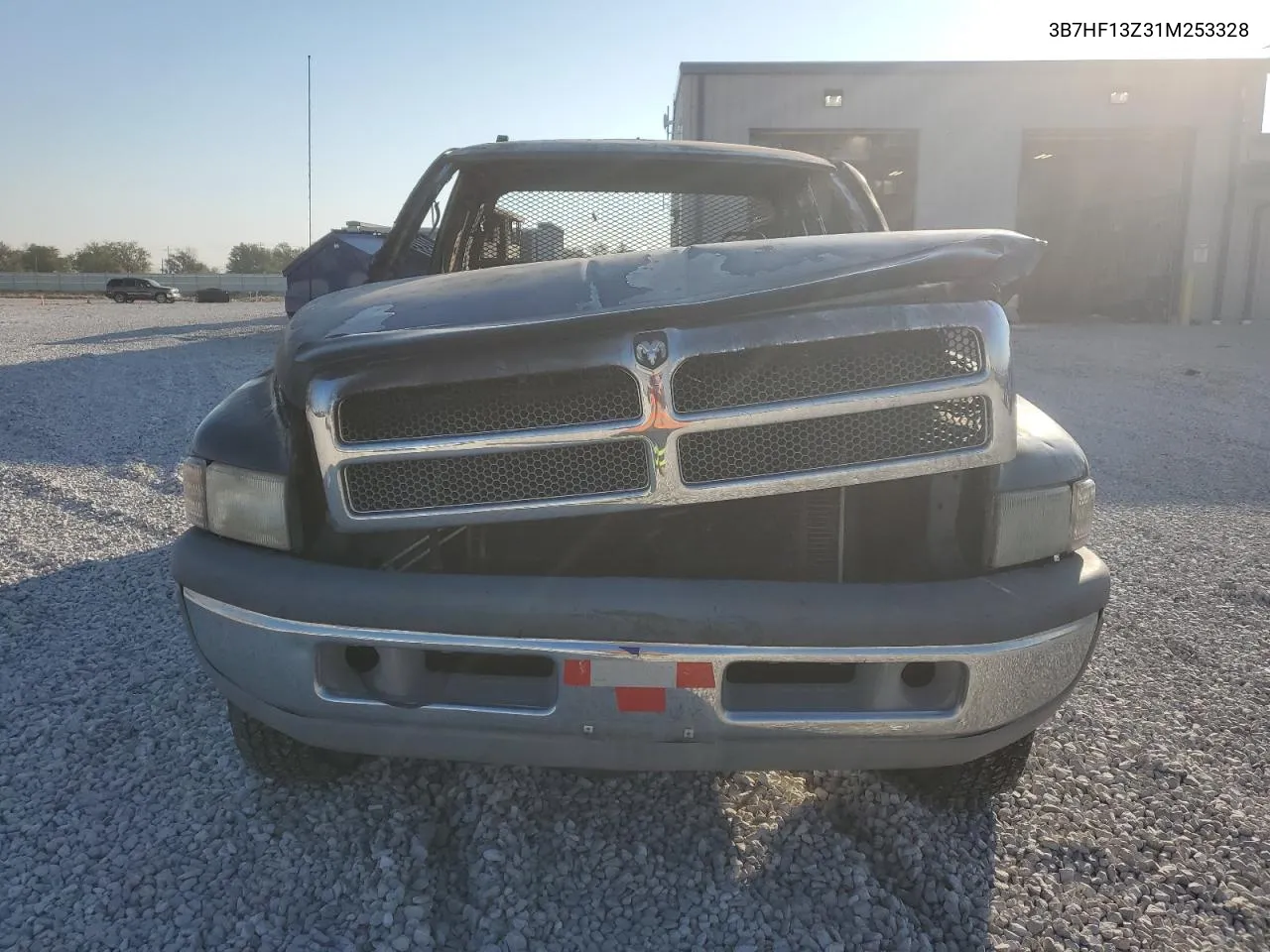 2001 Dodge Ram 1500 VIN: 3B7HF13Z31M253328 Lot: 73556634