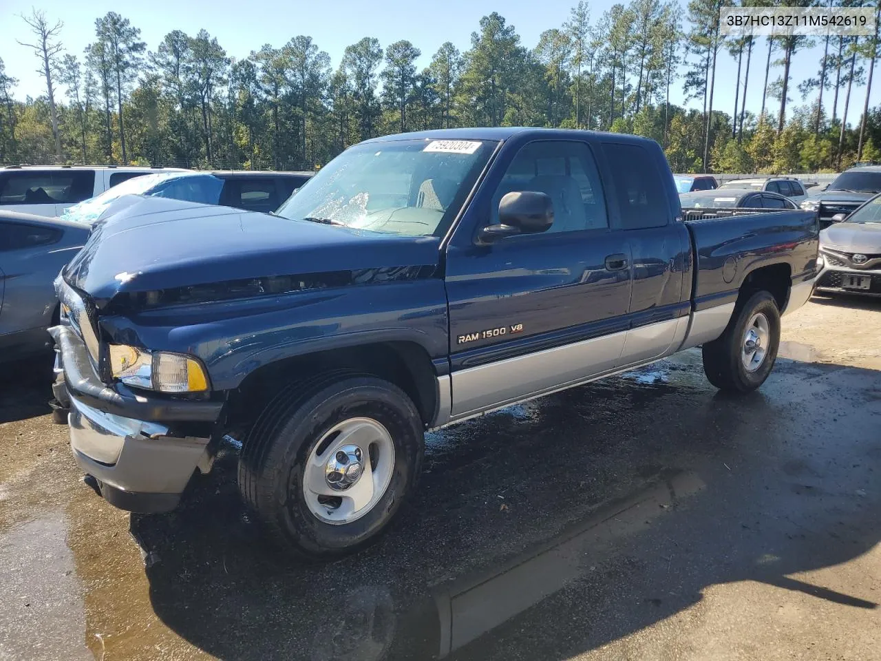 2001 Dodge Ram 1500 VIN: 3B7HC13Z11M542619 Lot: 75920304