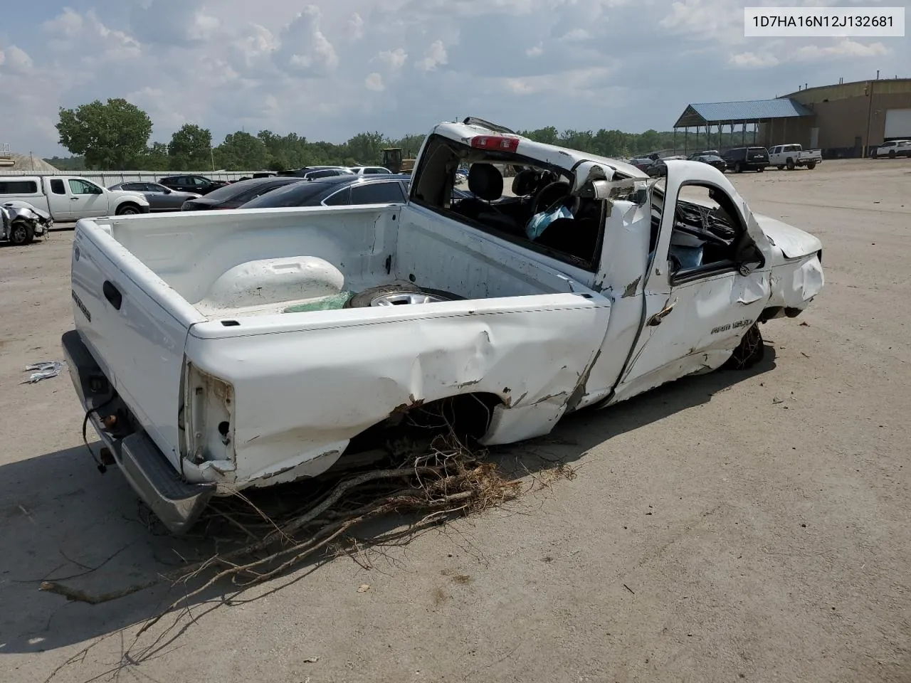 2002 Dodge Ram 1500 VIN: 1D7HA16N12J132681 Lot: 53449343