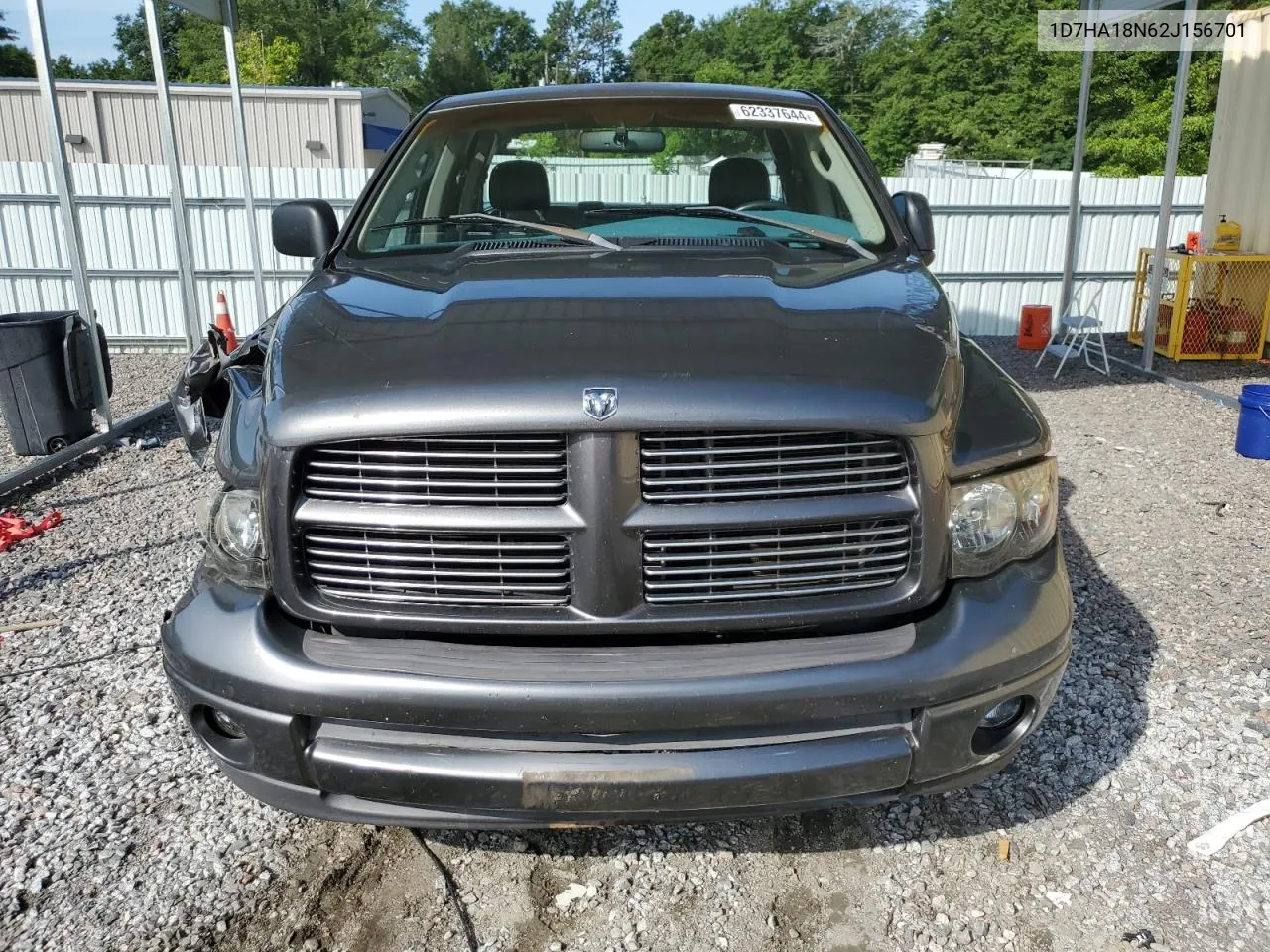 2002 Dodge Ram 1500 VIN: 1D7HA18N62J156701 Lot: 62337644