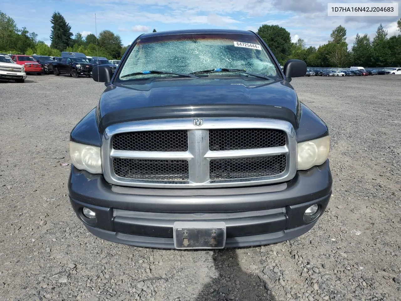 2002 Dodge Ram 1500 VIN: 1D7HA16N42J204683 Lot: 64725444