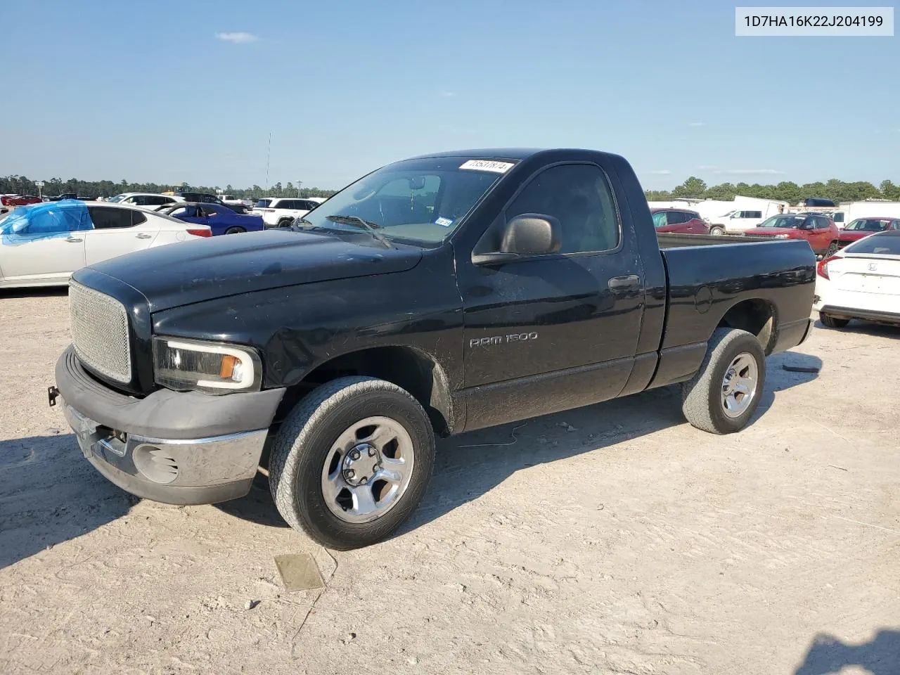 2002 Dodge Ram 1500 VIN: 1D7HA16K22J204199 Lot: 73537874