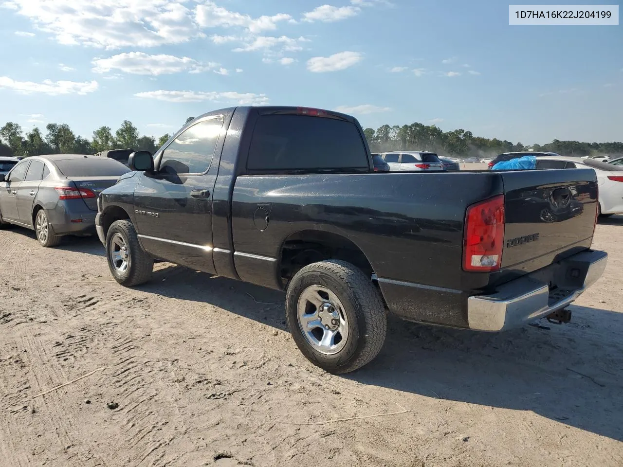 2002 Dodge Ram 1500 VIN: 1D7HA16K22J204199 Lot: 73537874