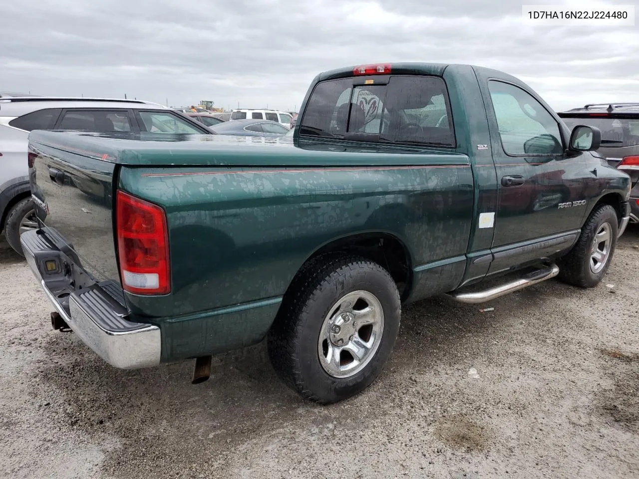 2002 Dodge Ram 1500 VIN: 1D7HA16N22J224480 Lot: 74214384