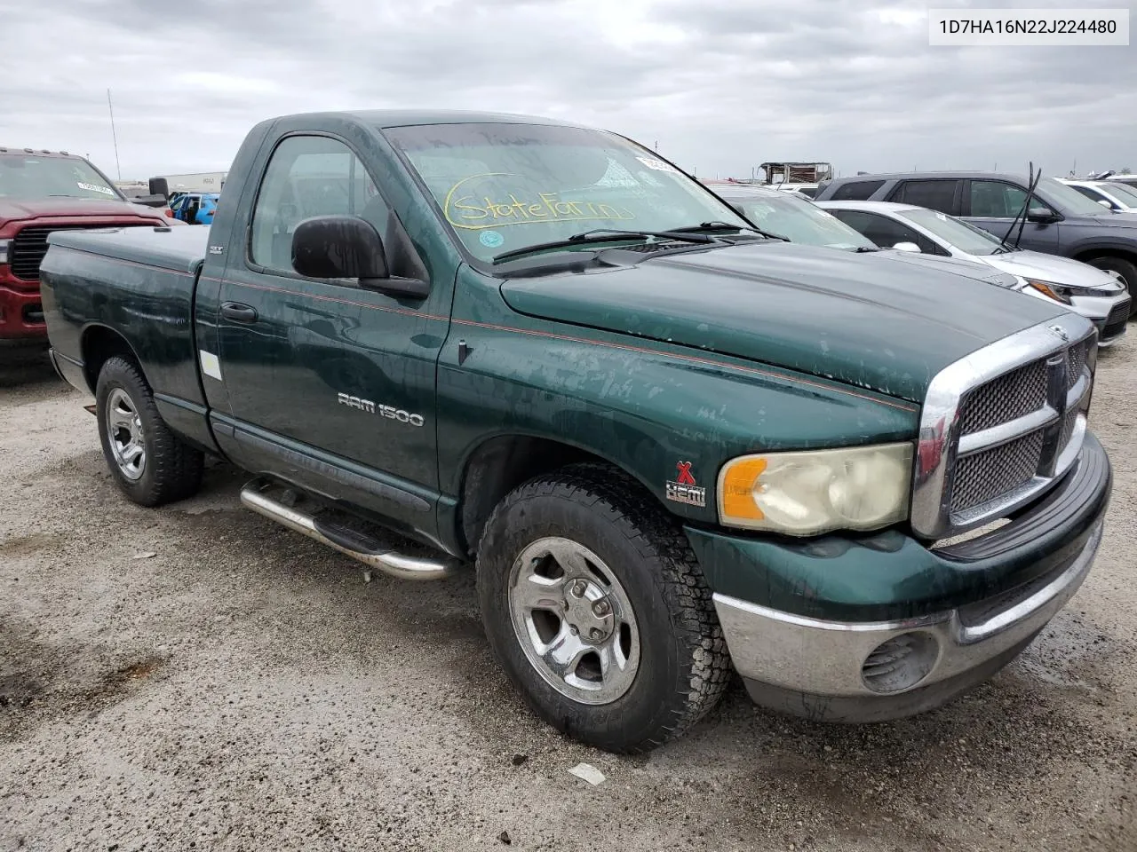 2002 Dodge Ram 1500 VIN: 1D7HA16N22J224480 Lot: 74214384