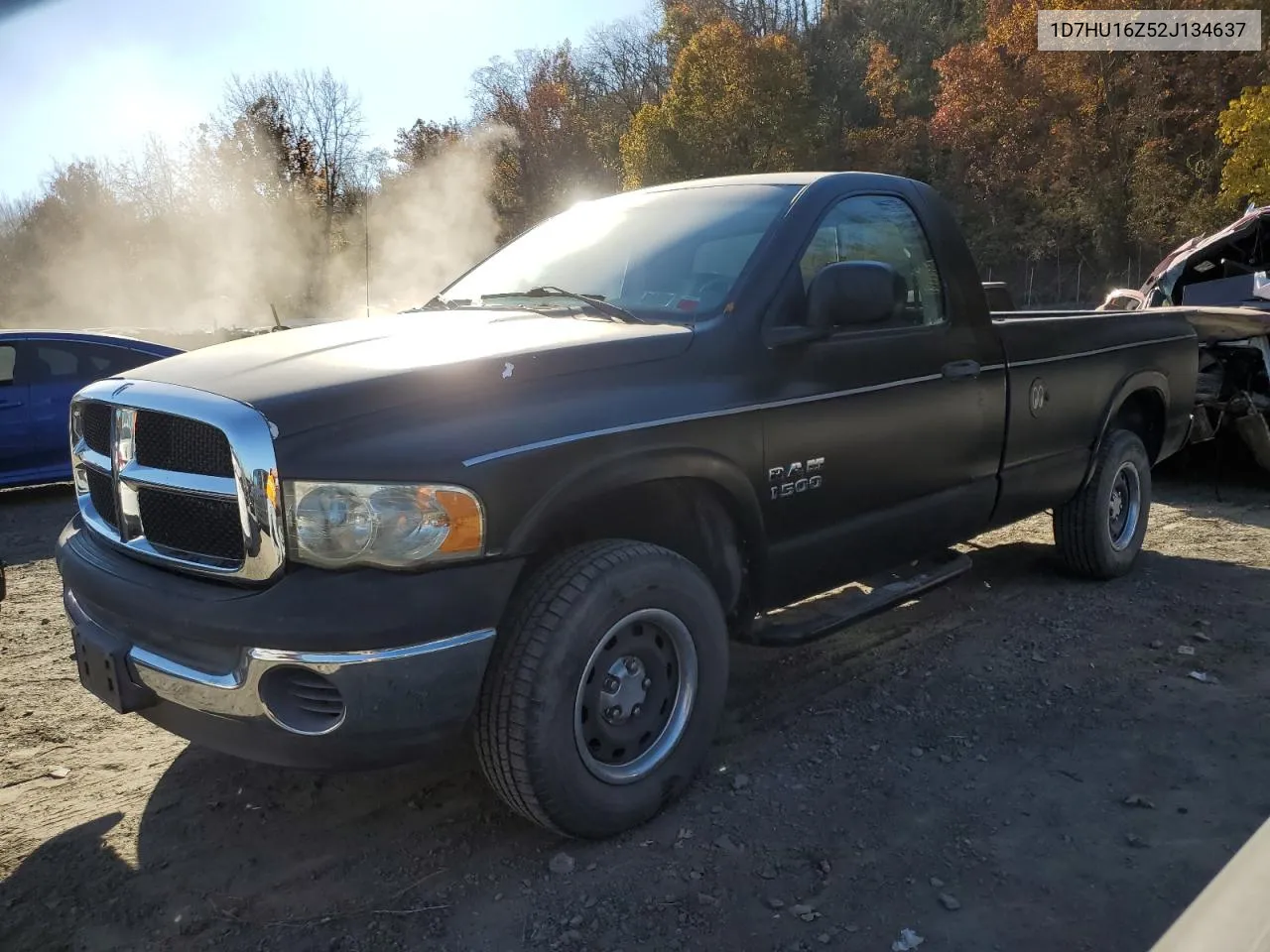 2002 Dodge Ram 1500 VIN: 1D7HU16Z52J134637 Lot: 77736664