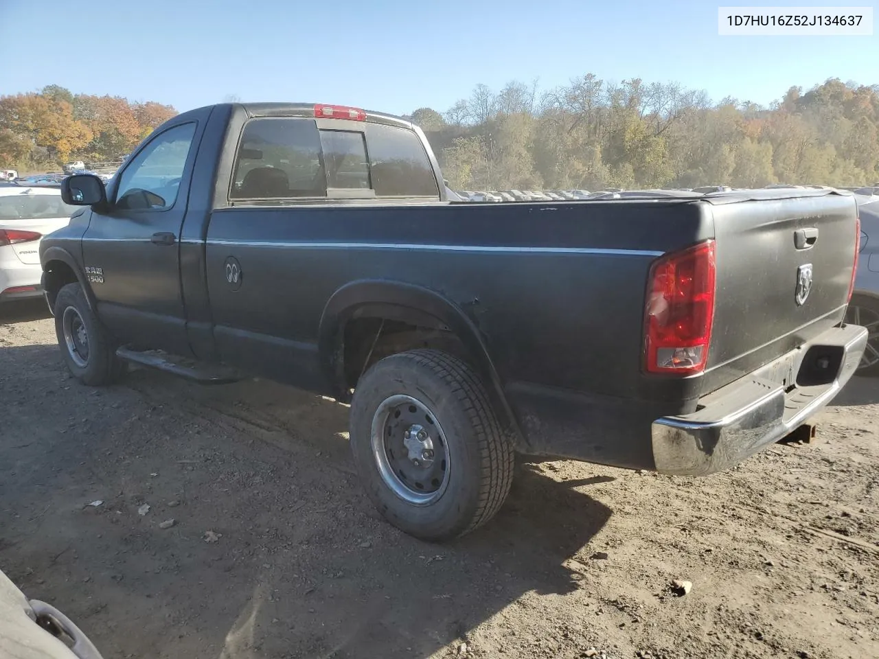 2002 Dodge Ram 1500 VIN: 1D7HU16Z52J134637 Lot: 77736664