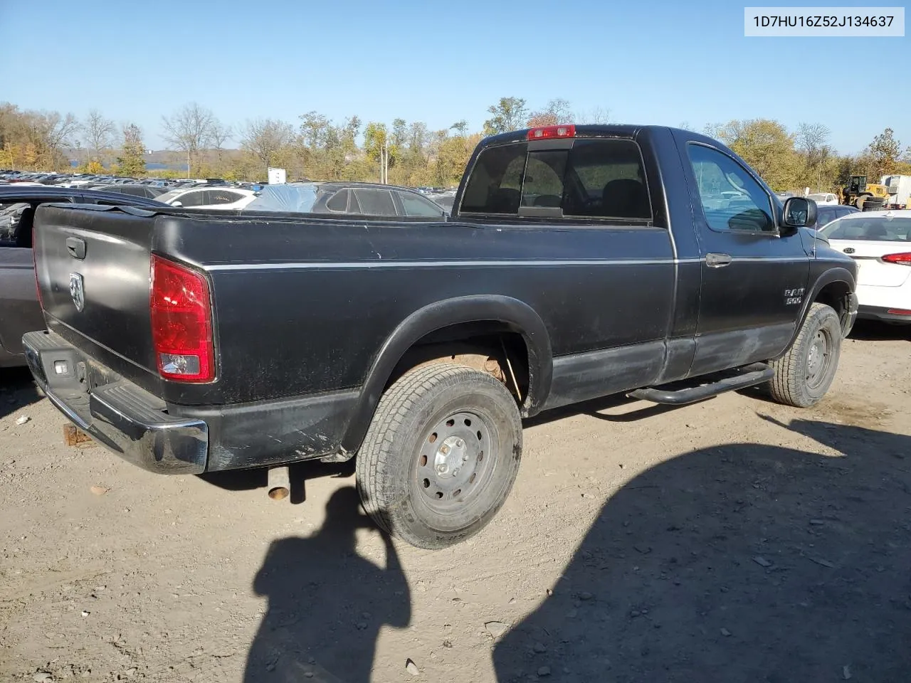 2002 Dodge Ram 1500 VIN: 1D7HU16Z52J134637 Lot: 77736664