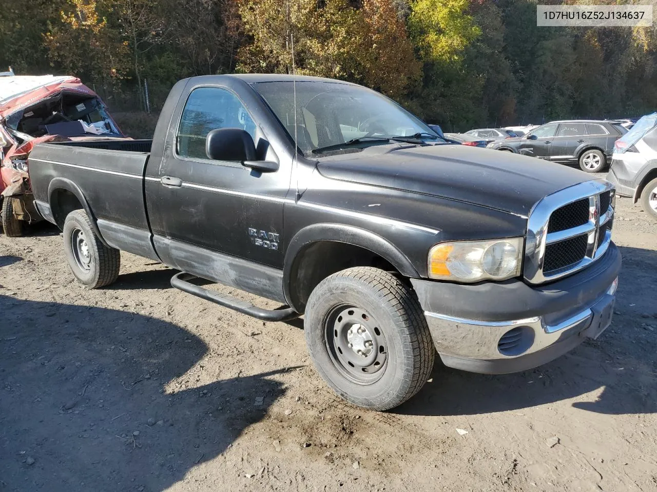 2002 Dodge Ram 1500 VIN: 1D7HU16Z52J134637 Lot: 77736664