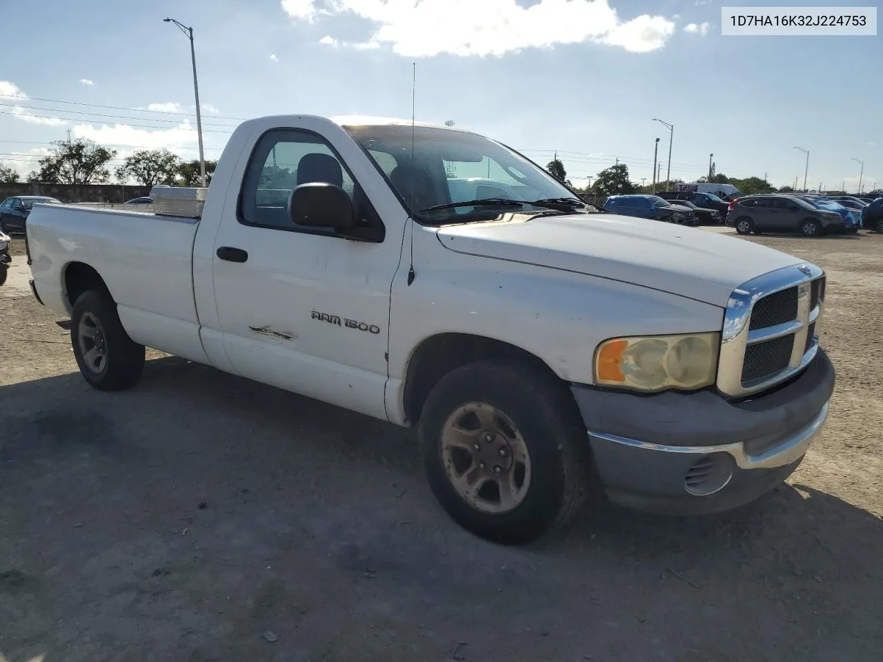 2002 Dodge Ram 1500 VIN: 1D7HA16K32J224753 Lot: 79841324