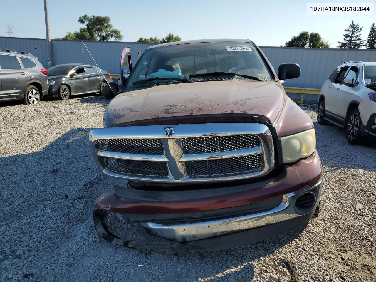 2003 Dodge Ram 1500 St VIN: 1D7HA18NX3S182844 Lot: 75624504