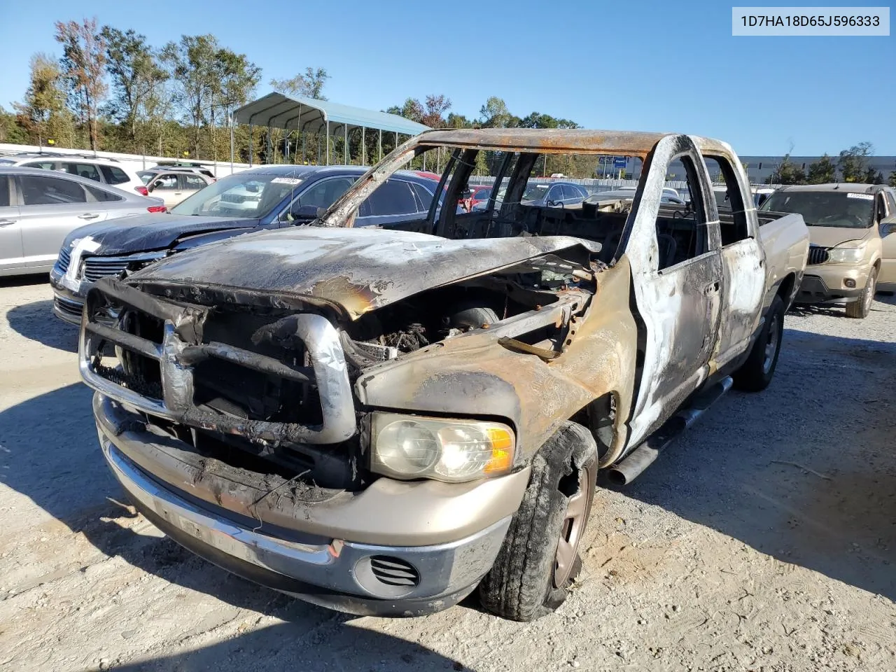 2005 Dodge Ram 1500 St VIN: 1D7HA18D65J596333 Lot: 74298024