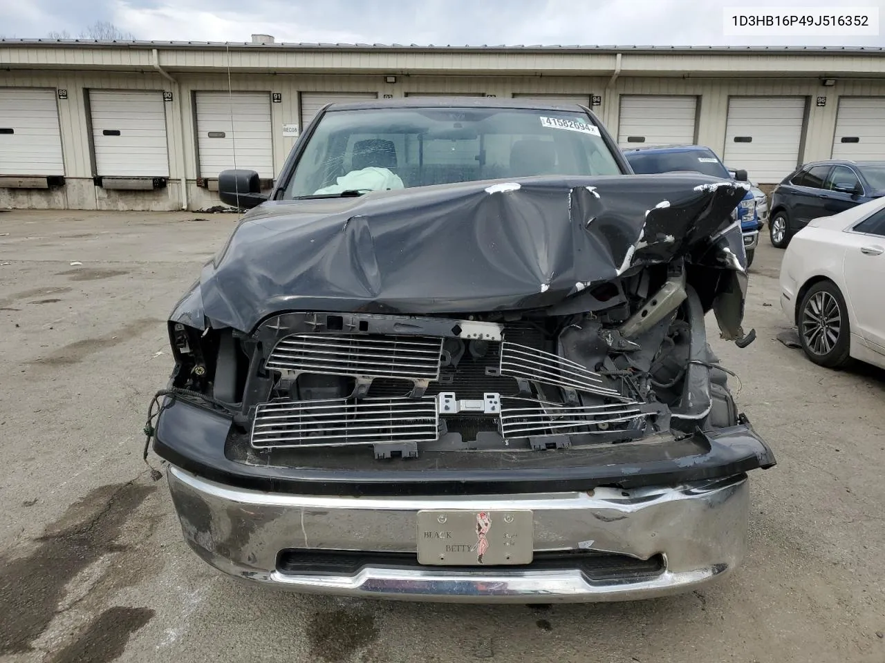 2009 Dodge Ram 1500 VIN: 1D3HB16P49J516352 Lot: 41582694