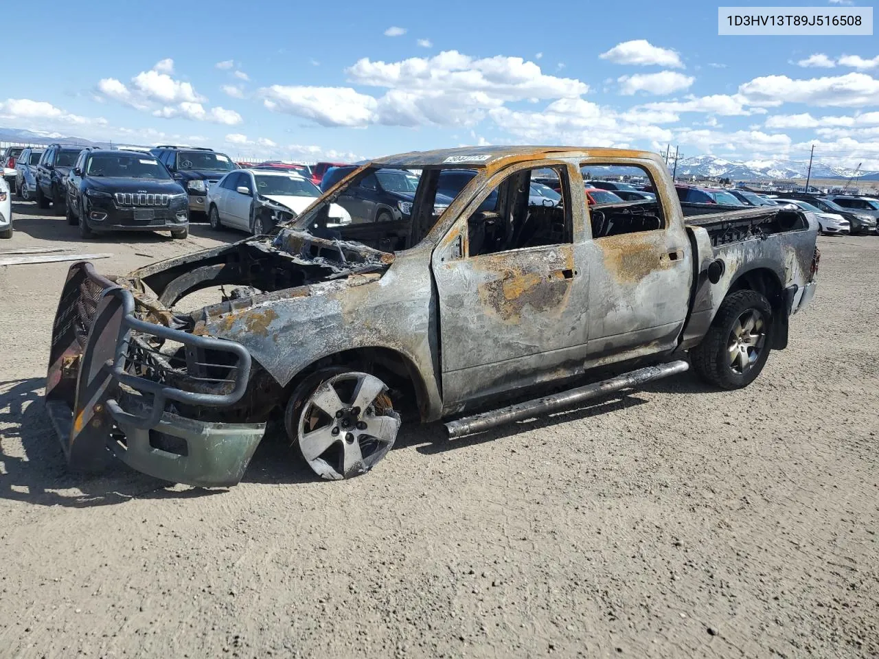 2009 Dodge Ram 1500 VIN: 1D3HV13T89J516508 Lot: 50441174