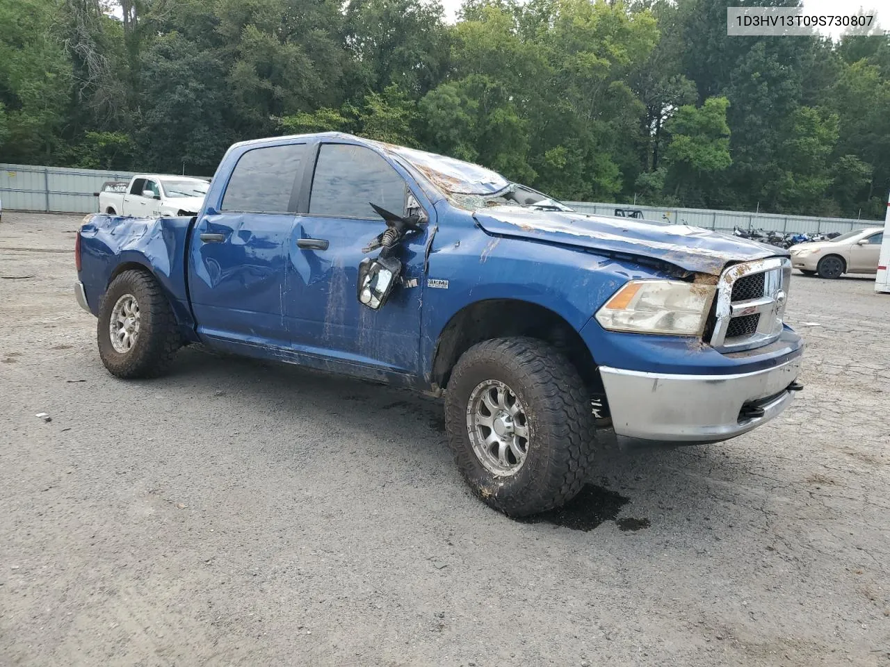 2009 Dodge Ram 1500 VIN: 1D3HV13T09S730807 Lot: 66708674