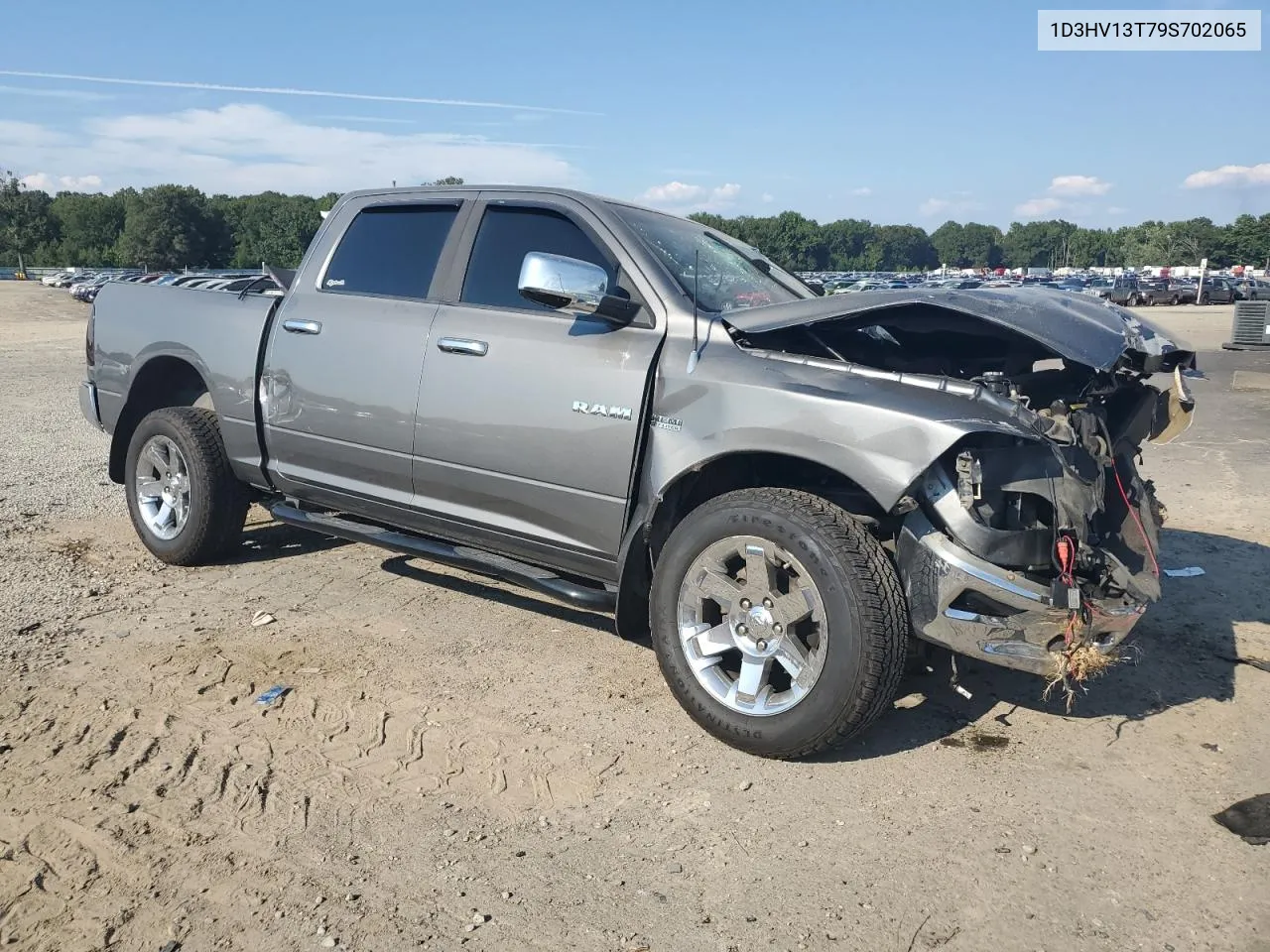 2009 Dodge Ram 1500 VIN: 1D3HV13T79S702065 Lot: 69246754