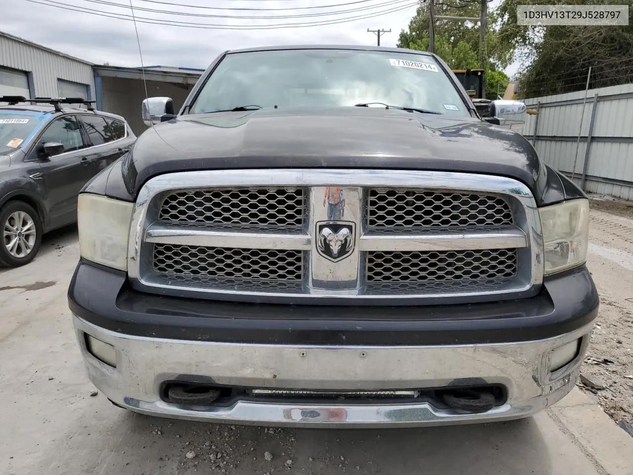 2009 Dodge Ram 1500 VIN: 1D3HV13T29J528797 Lot: 71020214