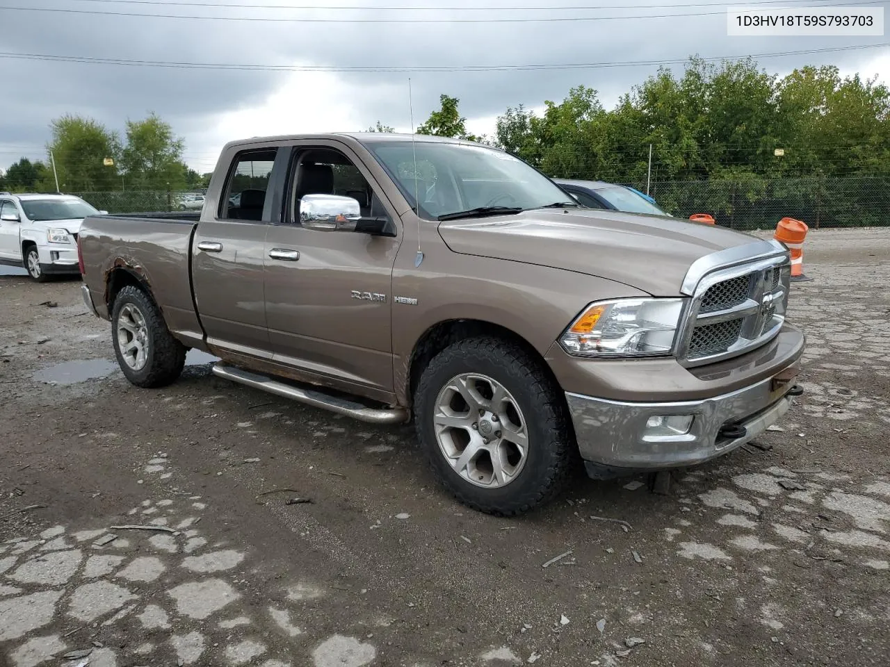 2009 Dodge Ram 1500 VIN: 1D3HV18T59S793703 Lot: 73147654