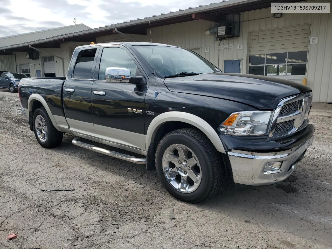 2009 Dodge Ram 1500 VIN: 1D3HV18T59S709217 Lot: 73669844