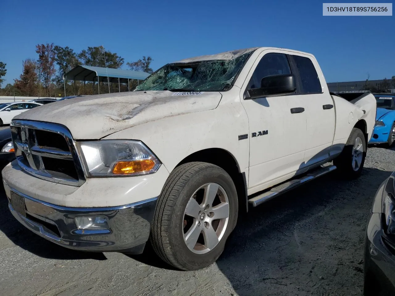 2009 Dodge Ram 1500 VIN: 1D3HV18T89S756256 Lot: 77035604