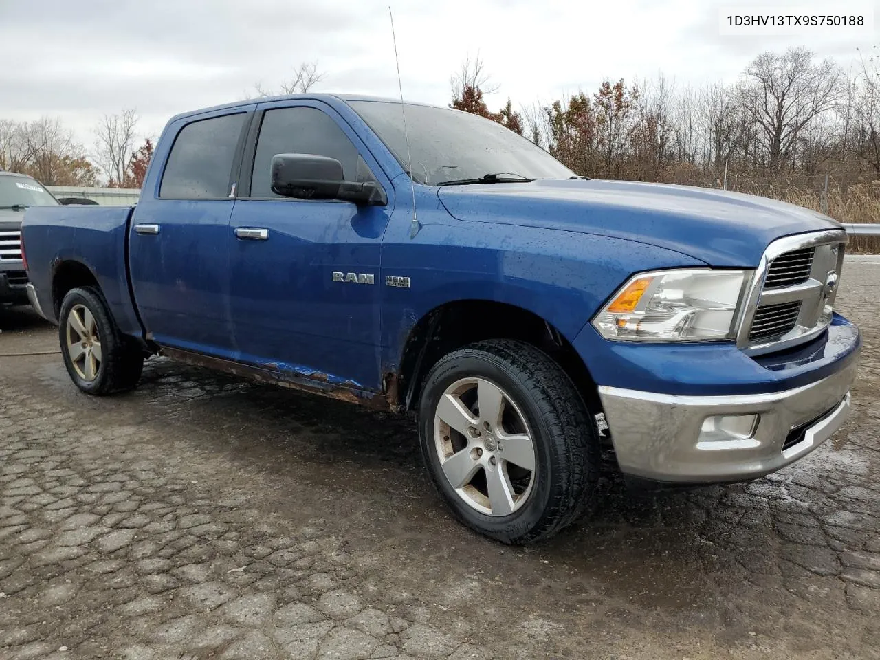 2009 Dodge Ram 1500 VIN: 1D3HV13TX9S750188 Lot: 78432374