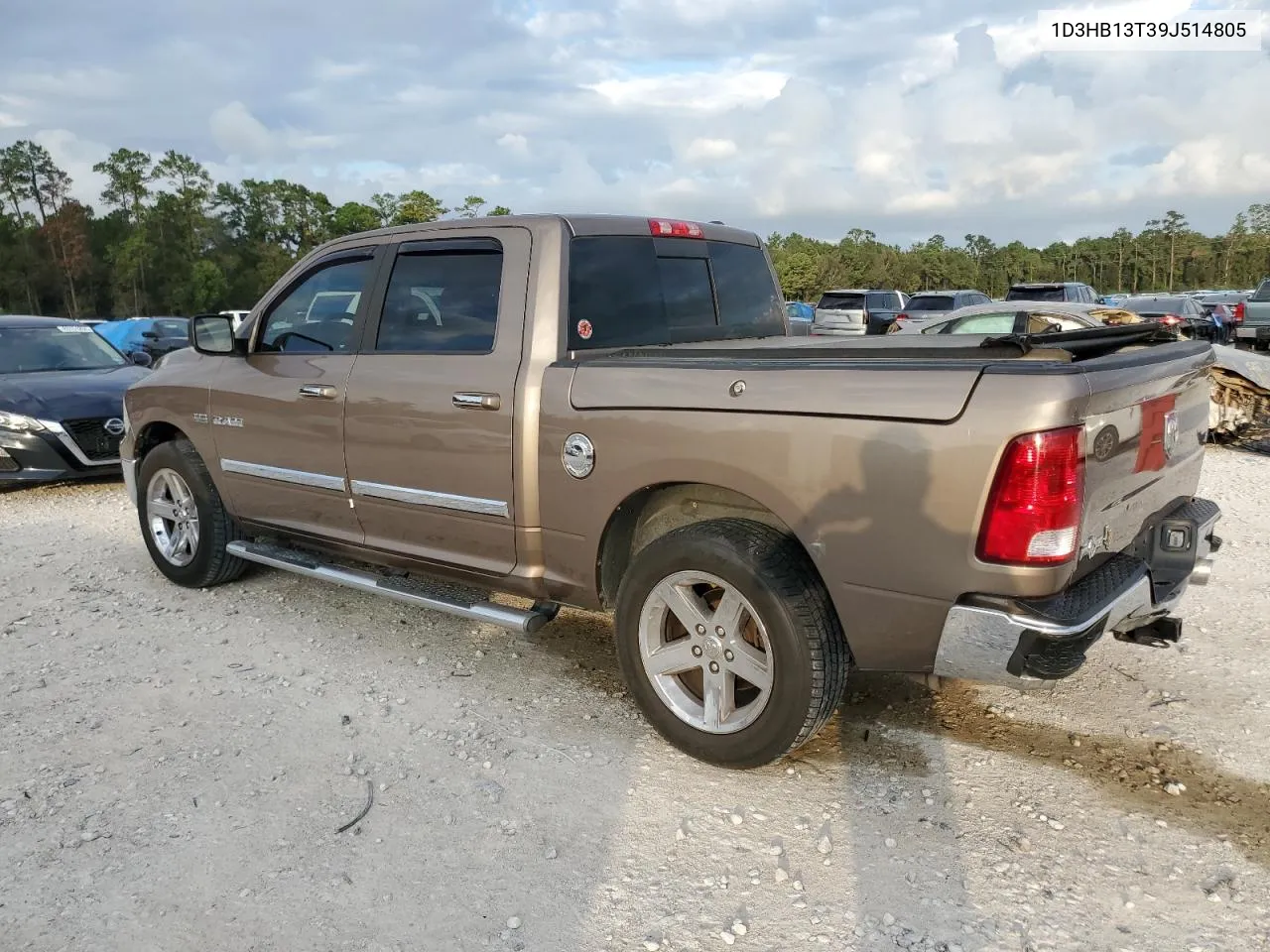 2009 Dodge Ram 1500 VIN: 1D3HB13T39J514805 Lot: 80077394