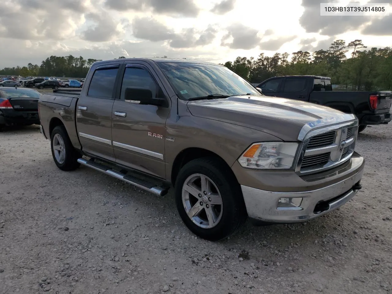 2009 Dodge Ram 1500 VIN: 1D3HB13T39J514805 Lot: 80077394