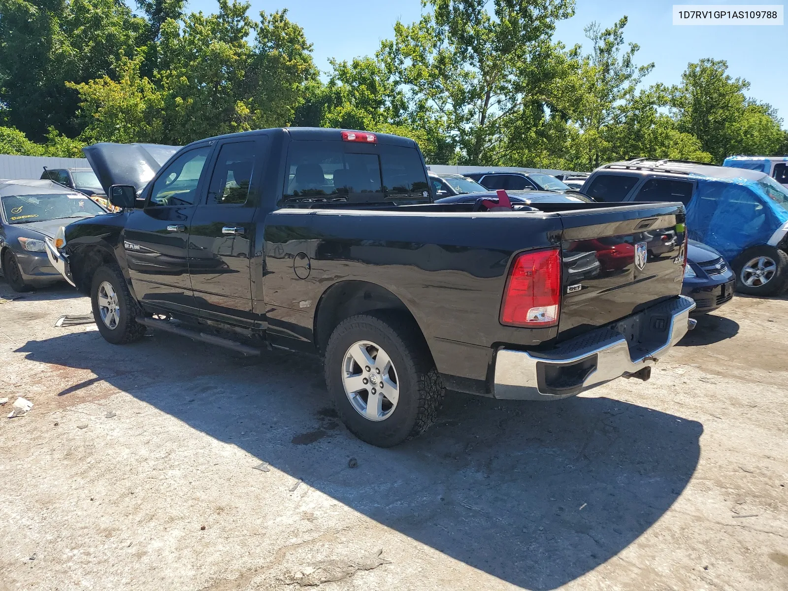 2010 Dodge Ram 1500 VIN: 1D7RV1GP1AS109788 Lot: 61017744