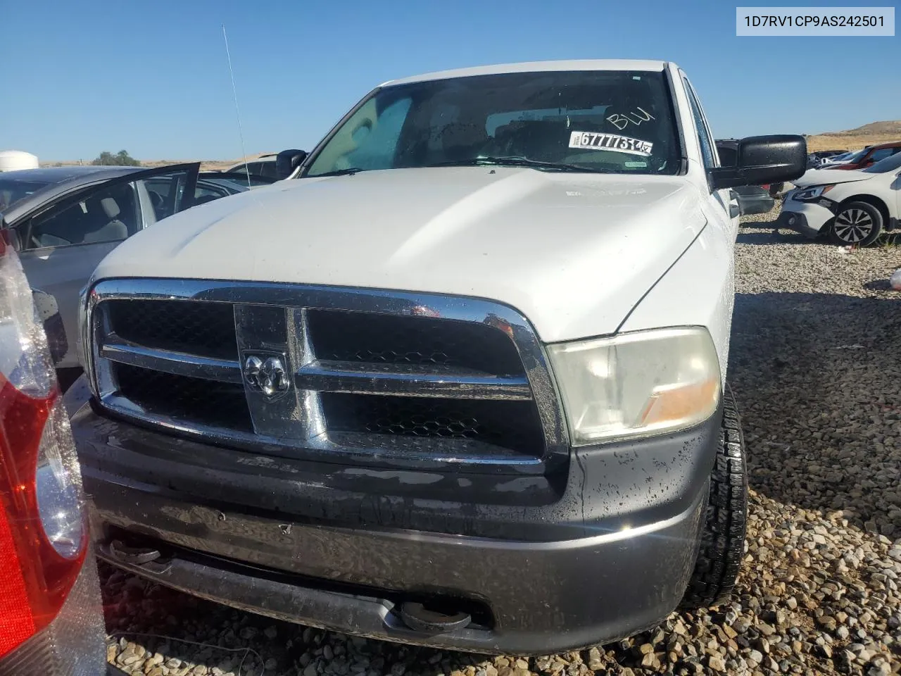 2010 Dodge Ram 1500 VIN: 1D7RV1CP9AS242501 Lot: 67777314