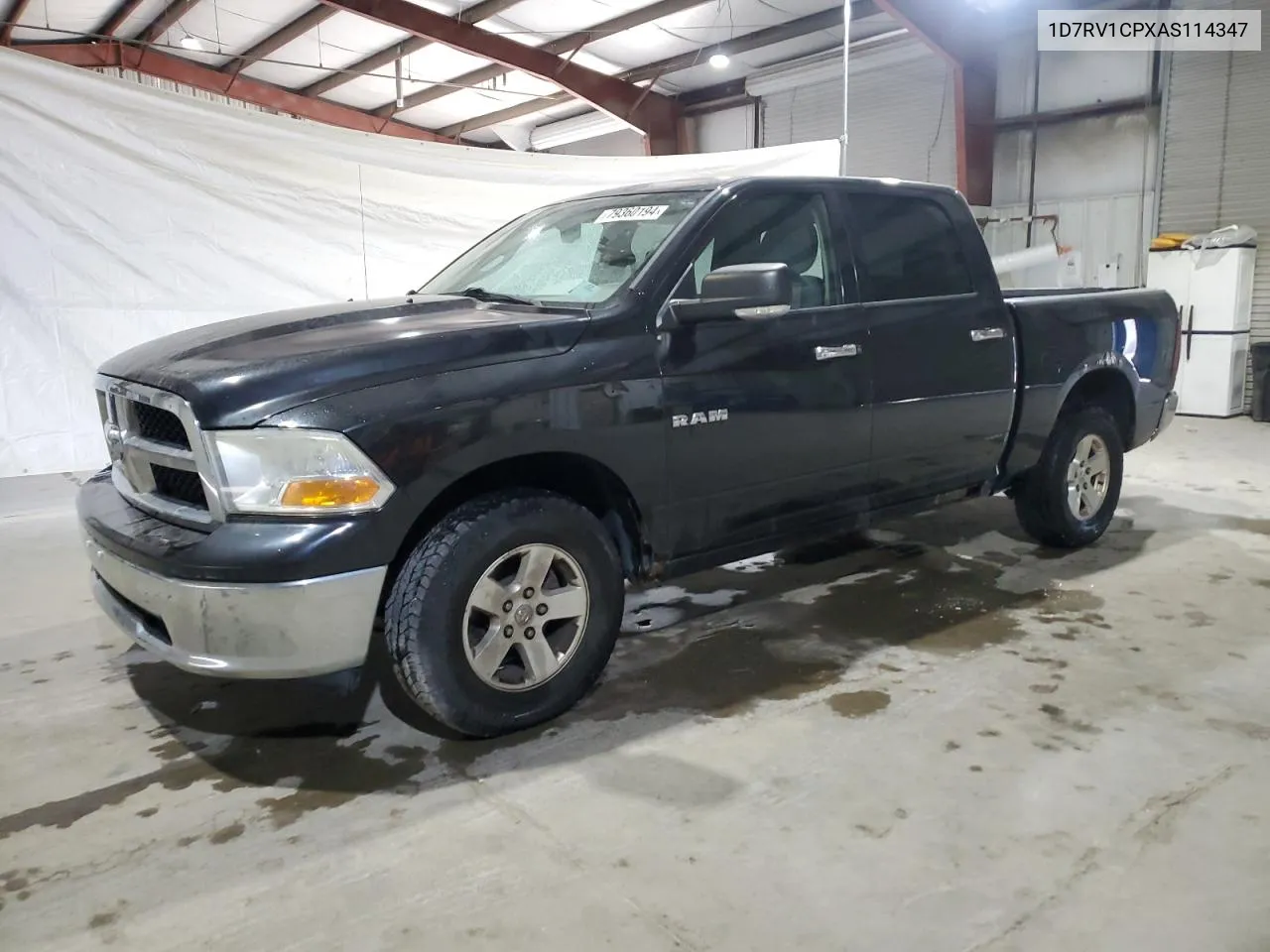 2010 Dodge Ram 1500 VIN: 1D7RV1CPXAS114347 Lot: 79360194