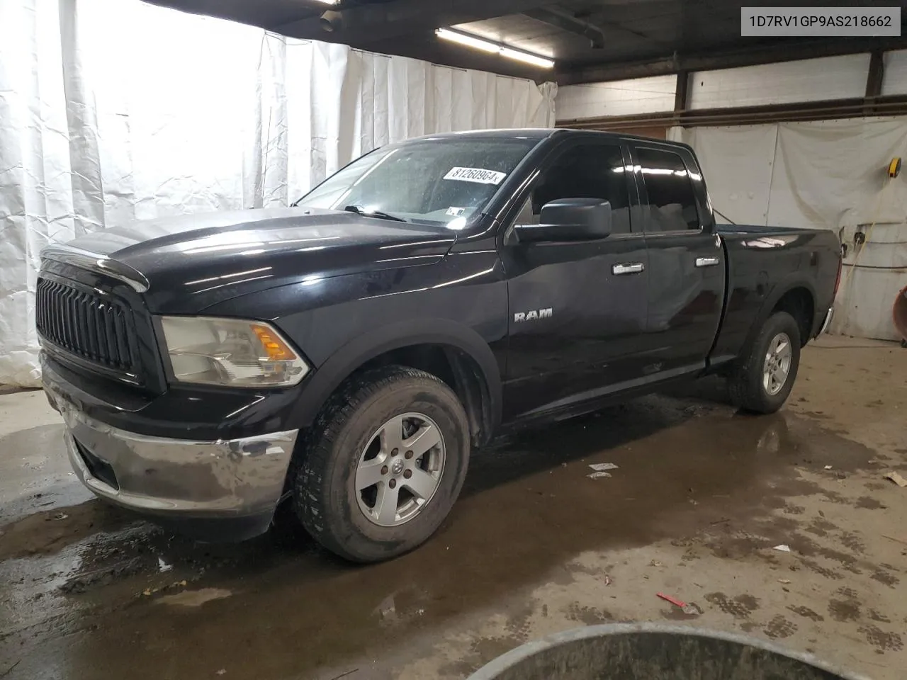 2010 Dodge Ram 1500 VIN: 1D7RV1GP9AS218662 Lot: 81260964