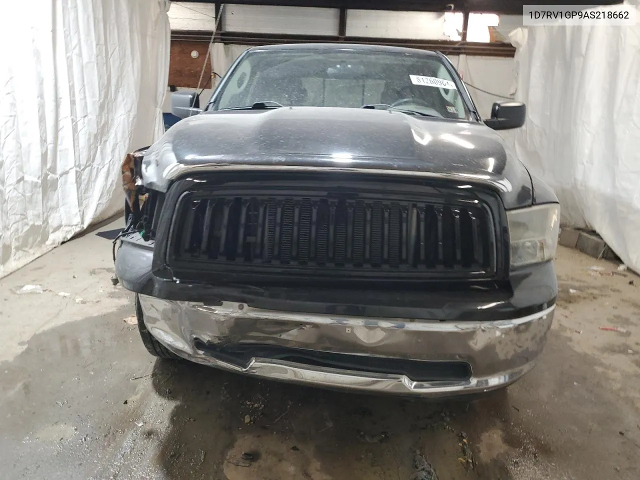 2010 Dodge Ram 1500 VIN: 1D7RV1GP9AS218662 Lot: 81260964