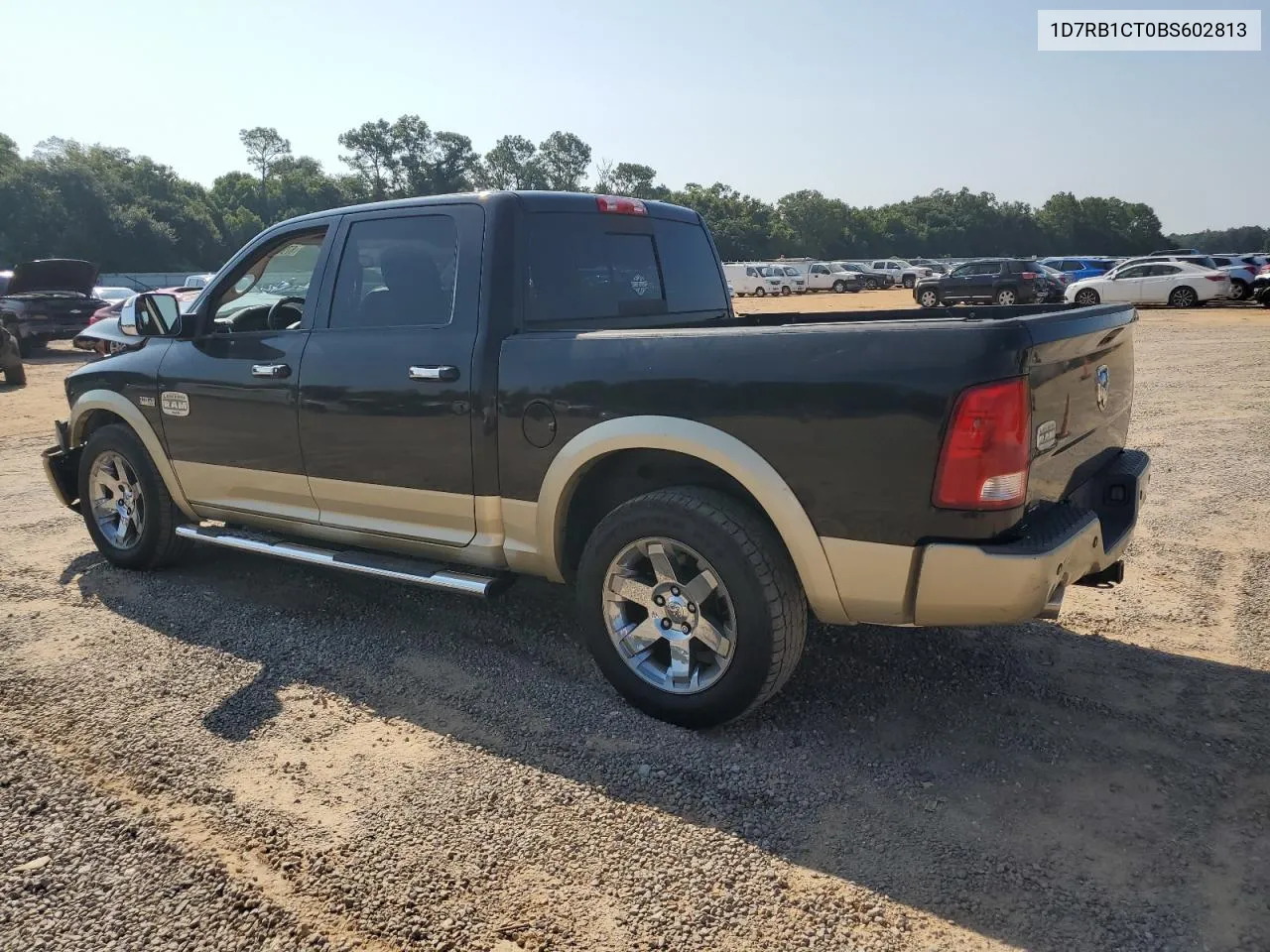 2011 Dodge Ram 1500 VIN: 1D7RB1CT0BS602813 Lot: 67901014