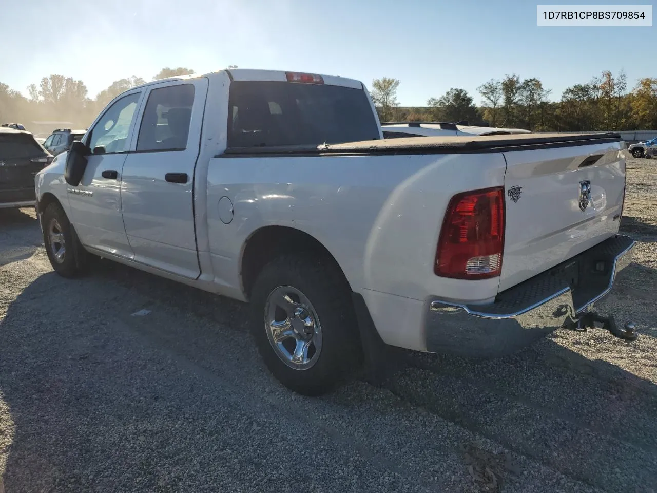 2011 Dodge Ram 1500 VIN: 1D7RB1CP8BS709854 Lot: 74787114