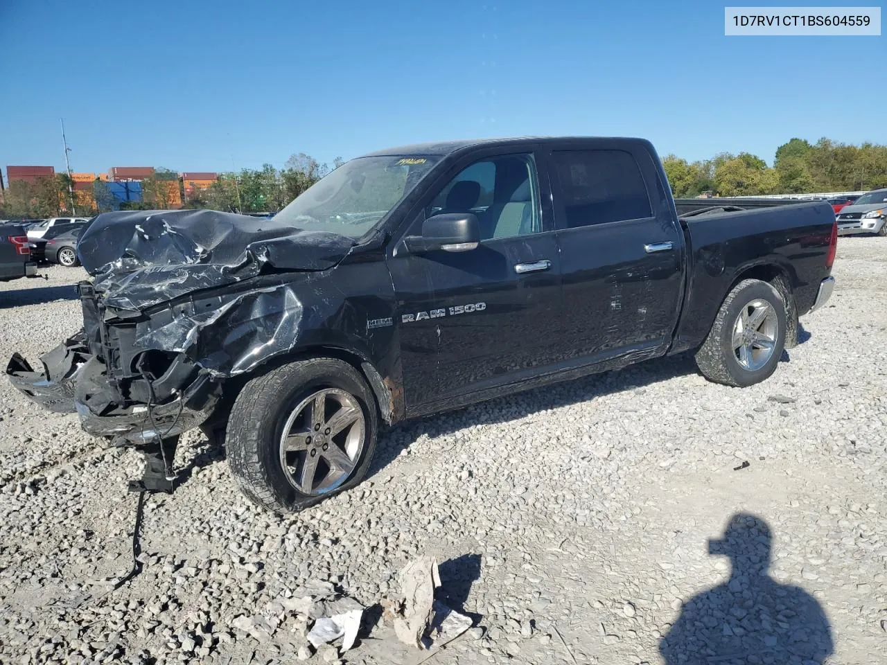 2011 Dodge Ram 1500 VIN: 1D7RV1CT1BS604559 Lot: 74926834