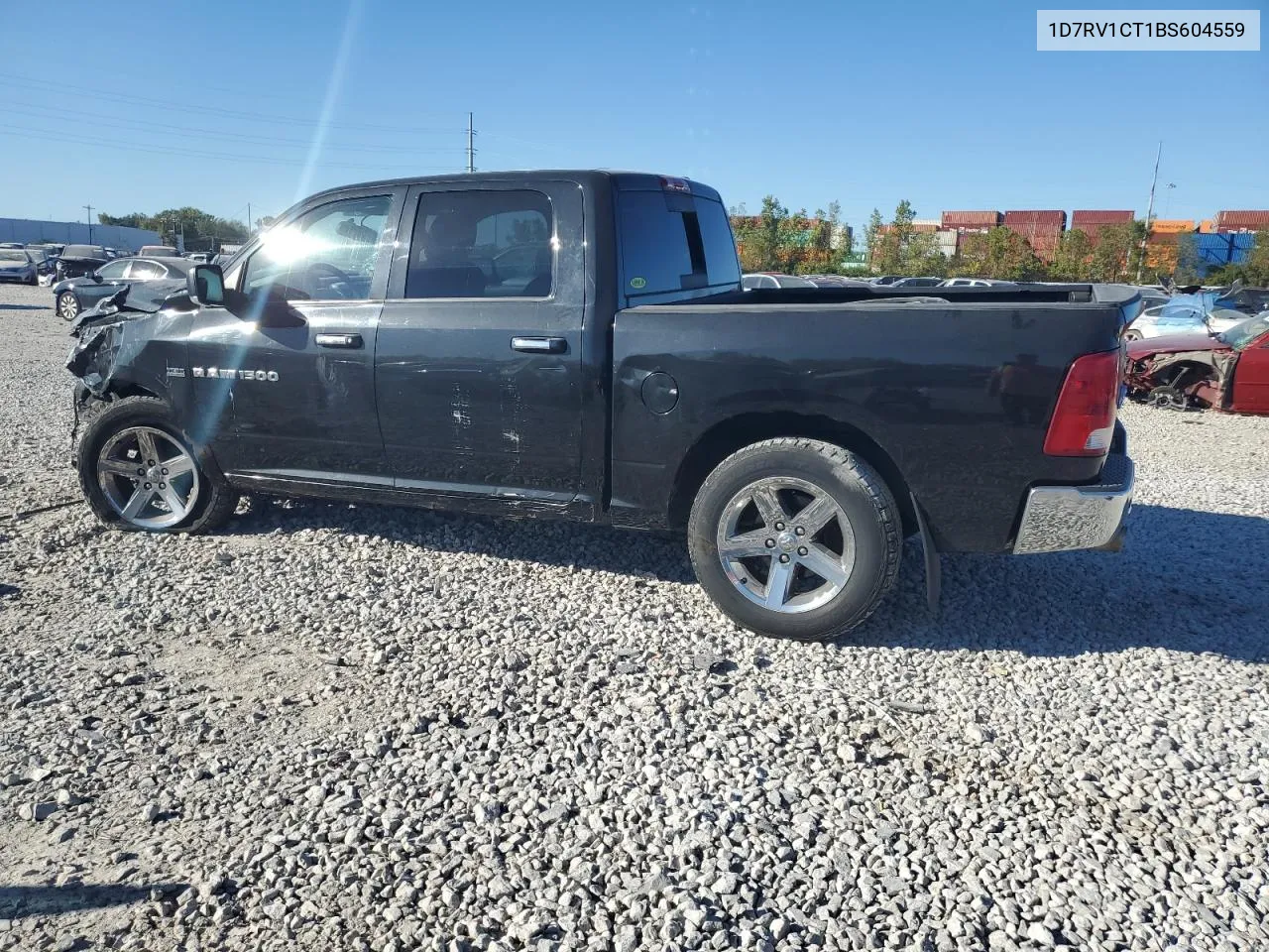 2011 Dodge Ram 1500 VIN: 1D7RV1CT1BS604559 Lot: 74926834