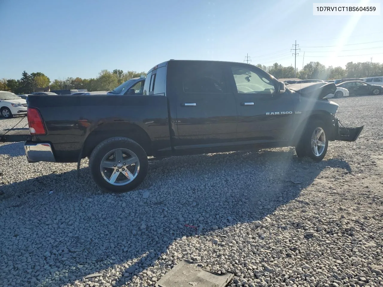 2011 Dodge Ram 1500 VIN: 1D7RV1CT1BS604559 Lot: 74926834