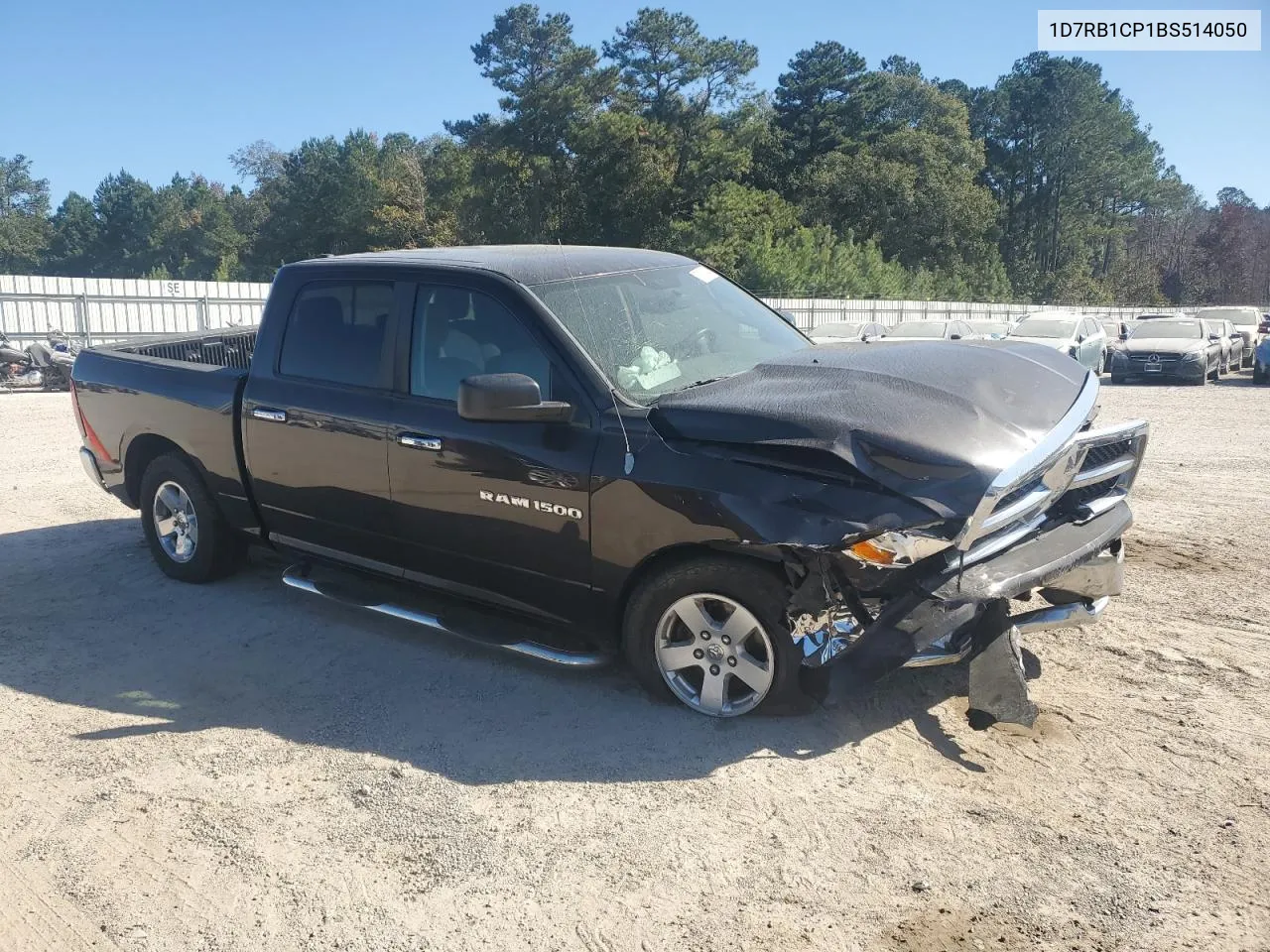 2011 Dodge Ram 1500 VIN: 1D7RB1CP1BS514050 Lot: 76800244