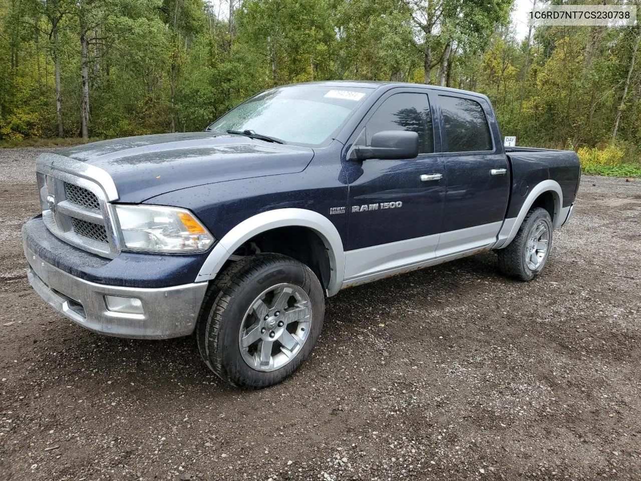 2012 Dodge Ram 1500 Laramie VIN: 1C6RD7NT7CS230738 Lot: 72642864