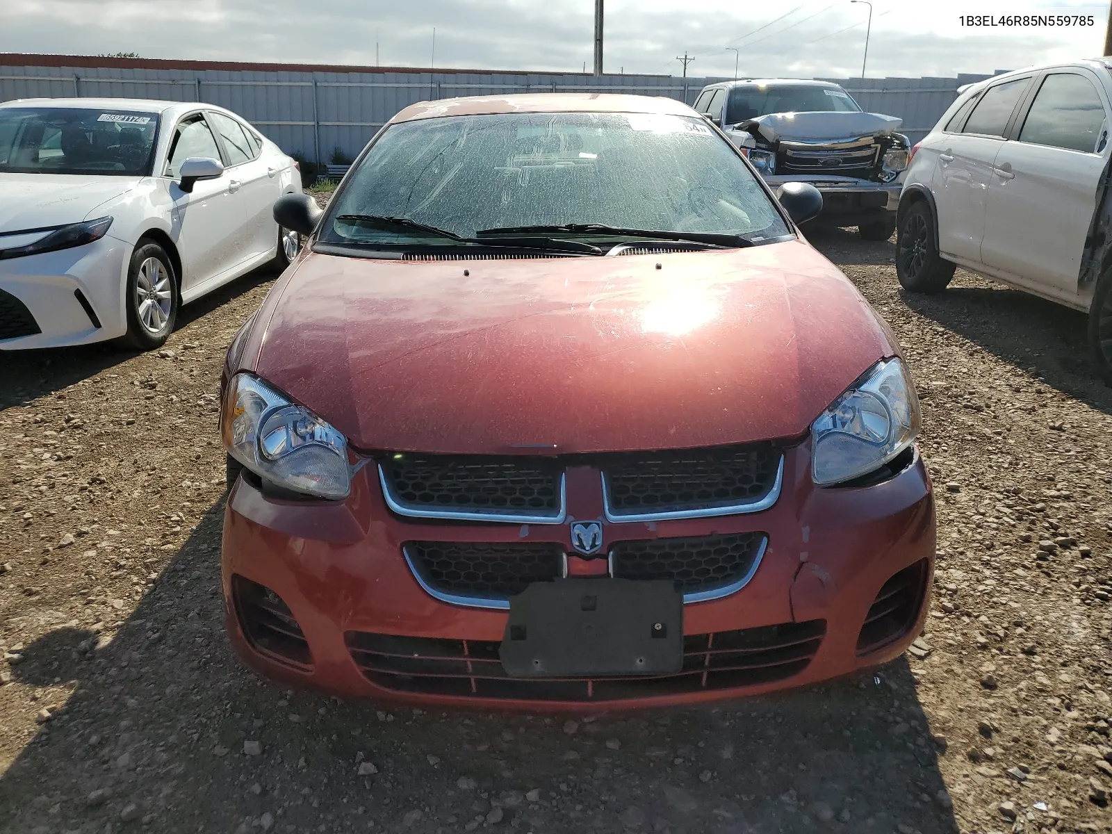 2005 Dodge Stratus Sxt VIN: 1B3EL46R85N559785 Lot: 65991264