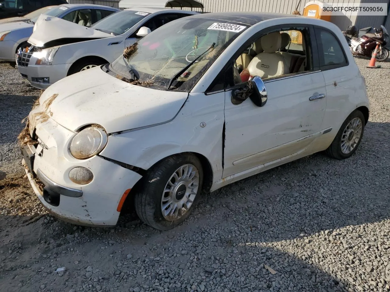 2015 Fiat 500 Lounge VIN: 3C3CFFCR5FT509056 Lot: 75990524