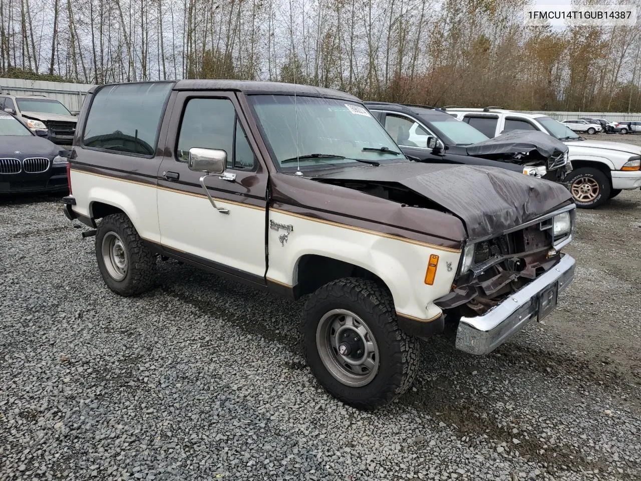 1986 Ford Bronco Ii VIN: 1FMCU14T1GUB14387 Lot: 76962214